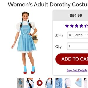 Dorothy costume